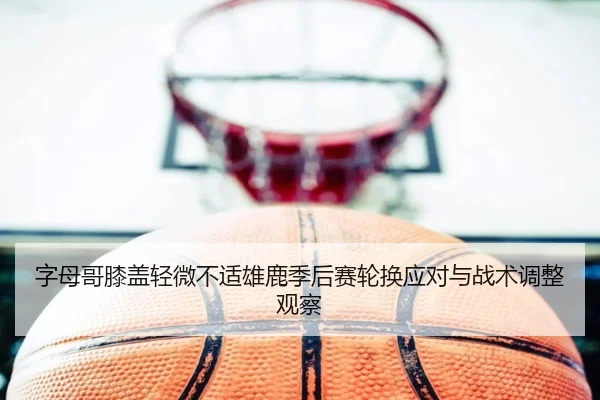 字母哥膝盖轻微不适雄鹿季后赛轮换应对与战术调整观察