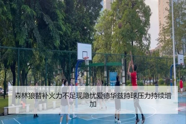 森林狼替补火力不足现隐忧爱德华兹持球压力持续增加